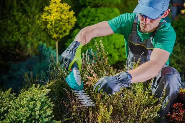 landscaping services South Floral Park